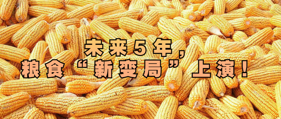 未來5年，糧食“新變局”上演！