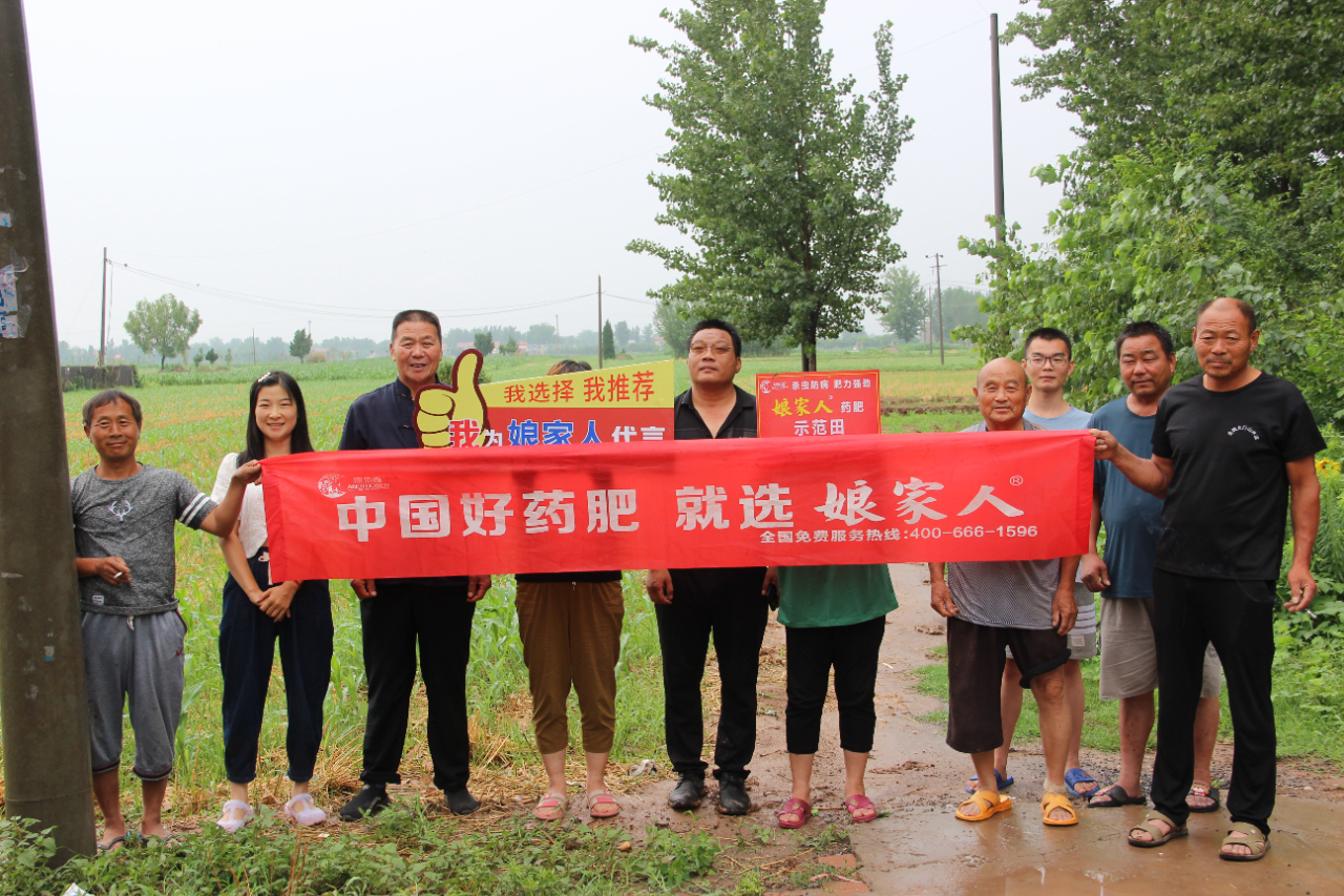 娘家人玉米藥肥，使用效果實地回訪
