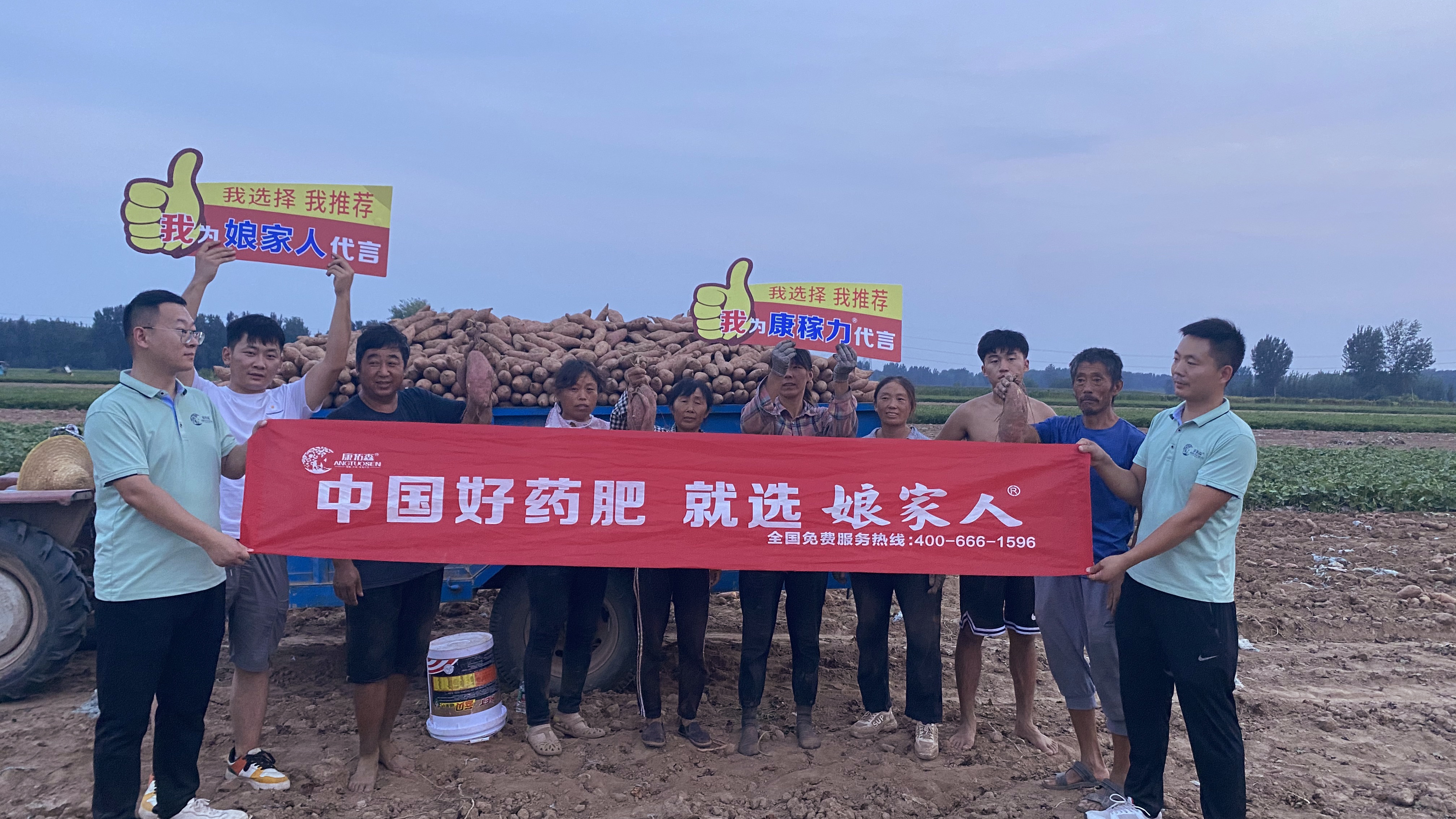想要紅薯沒病害沒蟲咬？向他學習！